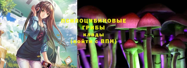 ECSTASY Белокуриха