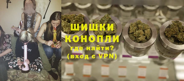 метадон Богданович