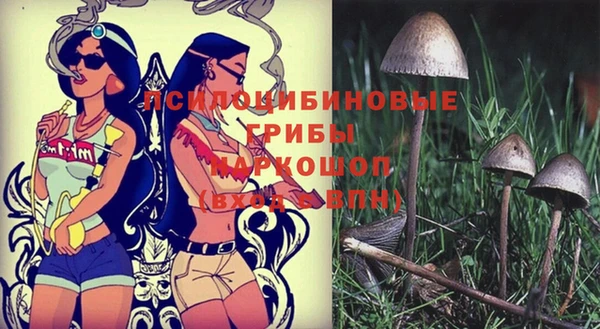 эйфоретик Бородино