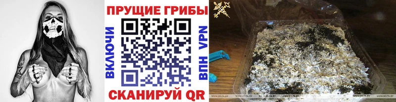 Псилоцибиновые грибы мухоморы  маркетплейс телеграм  Барабинск 